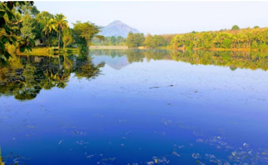Sparrow Vale Resort Kotamangalam Екстериор снимка